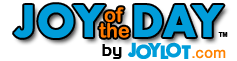 Joy of The Day