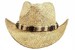 Henschel Men's Straw Walker Cowboy Hat