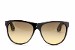 Diesel Sunglasses DL02S 02/S 50B Brown Shades