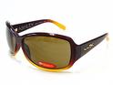 WILEY_X_Ashley_WX_Z87_2_WX_Z872_Gloss_Brown_Fade_SSASH02_Sunglasses upc:712316105675