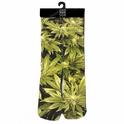  Odd Sox Green Trees Crew Sock Fits Shoe 6Þ13 UPC:855756005737