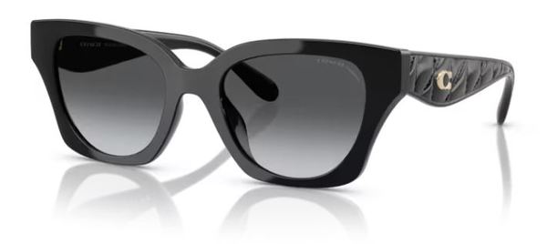  Coach CAD18 HC8418U Sunglasses Women's Butterfly Shape 