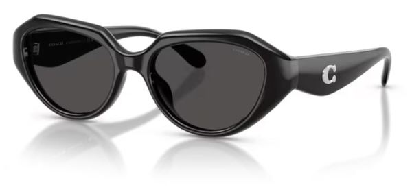  Coach CBY77 HC8433U Sunglasses Women's 