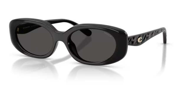  Coach CBY84 HC8443D Sunglasses Women's Oval Shape 