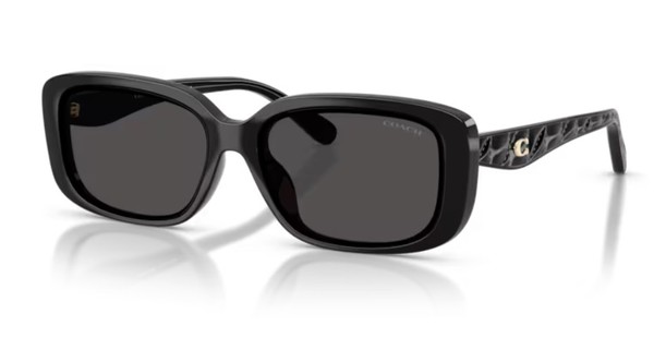  Coach CBY86 HC8444D Sunglasses Women's Rectangle Shape 