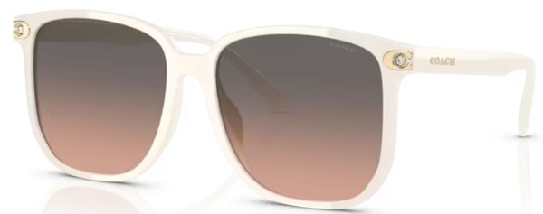  Coach CW419 HC8413BD Sunglasses Women's Square Shape 