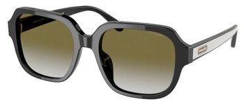 Coach C7989 HC8335U Sunglasses Women's Rectangle Shape