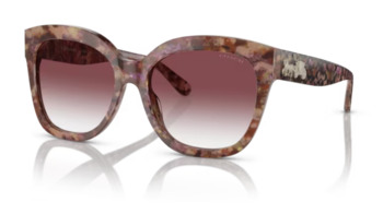 Coach CL910 HC8264 Sunglasses Women's Square Shape