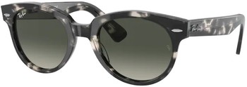 Ray Ban Orion RB2199 Sunglasses Round Shape