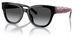 Coach CL920 HC8379U Sunglasses Women's Butterfly Shape