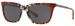 Coach L1025 HC8236 Sunglasses Women's Square Shape