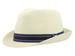 Dorfman Pacific Men's Paper Braid Fedora Hat