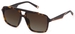 Fila SFI460 Sunglasses - Shiny Havana/Brown Gradient-C10P