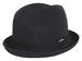 Kangol Men's Tropic Player Trilby Hat