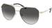 Michael Kors Cheyenne MK1109 Sunglasses Women's Pilot