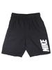 Nike Big Boy's 8-Inch Volley Shorts Trunks Swimwear