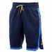 Nike Men's Color Surge Beacon Swim Trunk Volley Shorts Swimwear