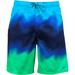Nike Men's Liquid Haze Swim Trunk Volley Shorts Swimwear