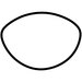 Shape CV