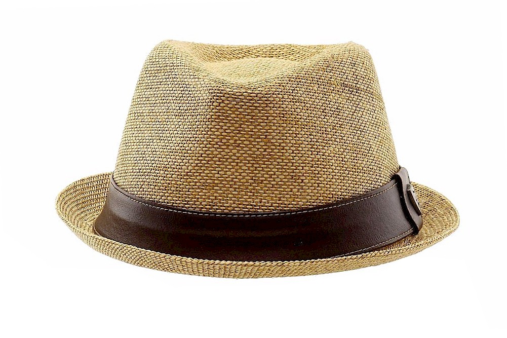 DPC 1921 Men's Toyo Fashion Fedora Hat | JoyLot.com