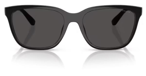  Coach CAE86 HC8429D Sunglasses Women's Square Shape 