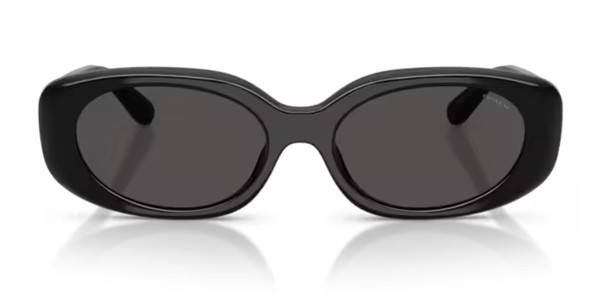  Coach CBY84 HC8443D Sunglasses Women's Oval Shape 