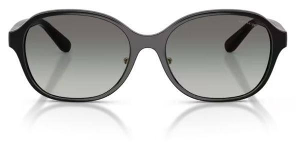  Coach CBY85 HC8445D Sunglasses Women's Round Shape 