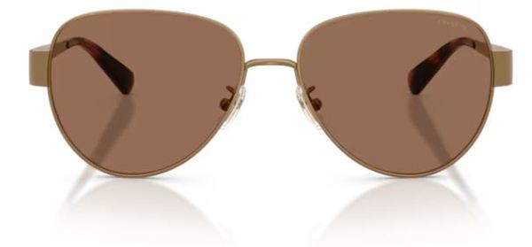  Coach CDP37 HC7186 Sunglasses Women's Pilot 