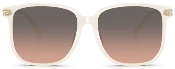  Coach CW419 HC8413BD Sunglasses Women's Square Shape 