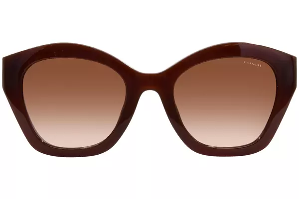  Coach HC8421U Sunglasses Women's Cat Eye 