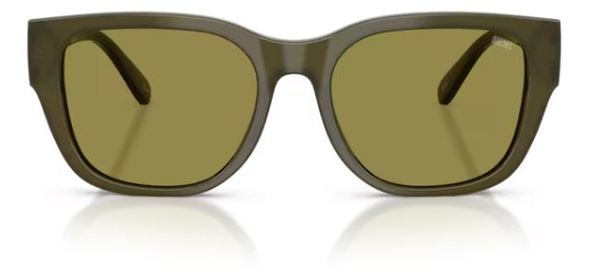 Diesel DL2005 Sunglasses Square Shape 