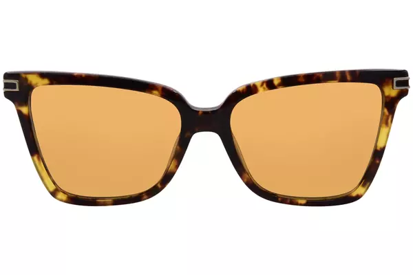  Salvatore Ferragamo SF2036S Sunglasses Women's Rectangle Shape 