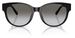 Coach CAE87 HC8430D Sunglasses Women's Round Shape