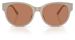 Coach CAE87 HC8430D Sunglasses Women's Round Shape