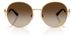 Dolce & Gabbana DG2324 Sunglasses Women's Round Shape