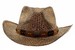 Henschel Men's Walker Austrail-Hand Stained Raffia Western Hat