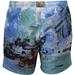 Hugo Boss Men's Springfish Quick Dry Trunks Shorts Swimwear