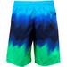 Nike Men's Liquid Haze Swim Trunk Volley Shorts Swimwear