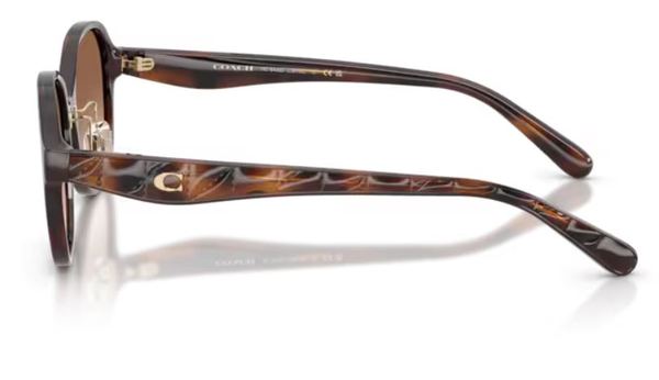  Coach CBY85 HC8445D Sunglasses Women's Round Shape 