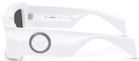  Versace VE4474U Sunglasses Rectangle Shape 