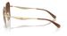 Coach CW189 HC7168 Sunglasses Women's