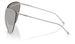 Diesel DL1007 Sunglasses Cat Eye