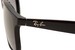 Ray Ban Men's Andy RB4202 RB/4202 RayBan Sunglasses