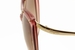 Salvatore Ferragamo Women's 714S 714/S Sunglasses