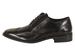 Stacy Adams Men's Wardell Wingtip Oxfords Shoes