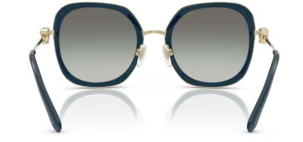 Ralph Lauren RL7088 Sunglasses Women's Square Shape 