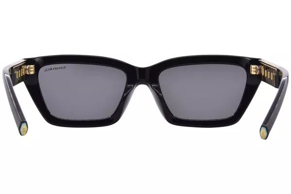  Tiffany & Co. TF4213 Sunglasses Women's Rectangle Shape 