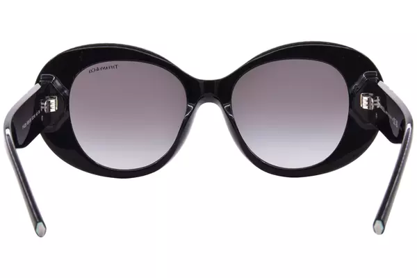  Tiffany & Co. TF4228 Sunglasses Women's Round Shape 