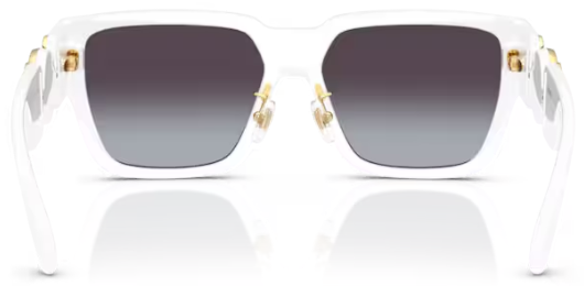  Versace VE4483D Sunglasses Men's Square Shape 