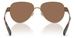Coach CDP37 HC7186 Sunglasses Women's Pilot